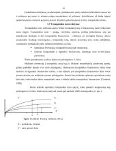 Verslo finansų valdymo sistema 13 puslapis