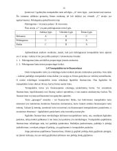 Verslo finansų valdymo sistema 14 puslapis