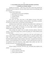 Verslo finansų valdymo sistema 15 puslapis