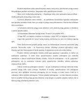 Verslo finansų valdymo sistema 16 puslapis