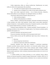 Verslo finansų valdymo sistema 6 puslapis