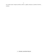 Verslo finansų valdymo sistema 7 puslapis