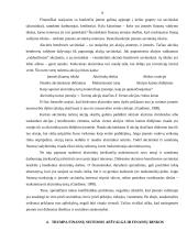 Verslo finansų valdymo sistema 8 puslapis