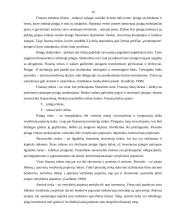 Verslo finansų valdymo sistema 9 puslapis