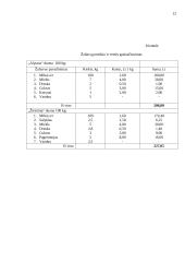 Verslo planas: duonos gaminiai AB "Riestukas" 12 puslapis