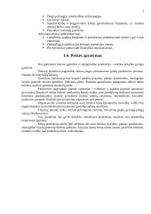 Verslo planas: duonos gaminiai AB "Riestukas" 3 puslapis