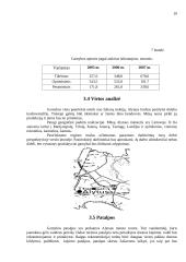 Verslo planas: duonos gaminiai AB "Riestukas" 10 puslapis