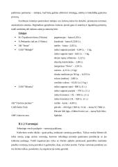 Verslo planas: duonos ir pyrago gaminių gamyba UAB "Skanumėlis" 13 puslapis