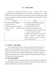 Verslo planas: duonos ir pyrago gaminių gamyba UAB "Skanumėlis" 16 puslapis