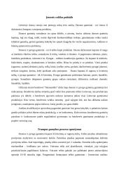 Verslo planas: duonos ir pyrago gaminių gamyba UAB "Skanumėlis" 3 puslapis