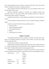 Verslo planas: duonos ir pyrago gaminių gamyba UAB "Skanumėlis" 4 puslapis