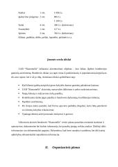 Verslo planas: duonos ir pyrago gaminių gamyba UAB "Skanumėlis" 5 puslapis