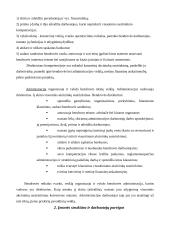 Verslo planas: duonos ir pyrago gaminių gamyba UAB "Skanumėlis" 7 puslapis