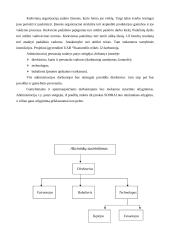 Verslo planas: duonos ir pyrago gaminių gamyba UAB "Skanumėlis" 8 puslapis