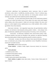 Verslo planas: ekologiški produktai UAB "Sveiki" 3 puslapis