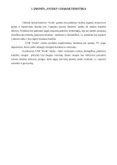 Verslo planas: ekologiški produktai UAB "Sveiki" 4 puslapis