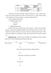 Verslo planas: ekologiški produktai UAB "Sveiki" 6 puslapis