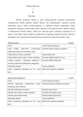 Verslo planas: ekologiški produktai UAB "Sveiki" 7 puslapis