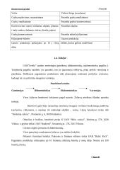 Verslo planas: ekologiški produktai UAB "Sveiki" 8 puslapis