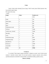 Verslo planas: geodeziniai matavimai IĮ "Geolinija" 11 puslapis