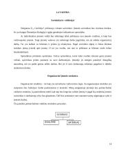 Verslo planas: geodeziniai matavimai IĮ "Geolinija" 14 puslapis