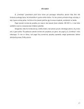 Verslo planas: geodeziniai matavimai IĮ "Geolinija" 17 puslapis