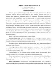 Verslo planas: geodeziniai matavimai IĮ "Geolinija" 4 puslapis