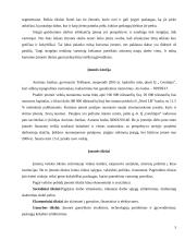 Verslo planas: geodeziniai matavimai IĮ "Geolinija" 5 puslapis