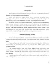 Verslo planas: geodeziniai matavimai IĮ "Geolinija" 7 puslapis