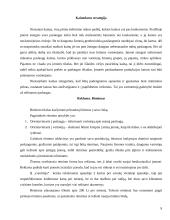 Verslo planas: geodeziniai matavimai IĮ "Geolinija" 9 puslapis