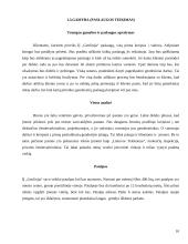 Verslo planas: geodeziniai matavimai IĮ "Geolinija" 10 puslapis