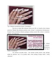 Verslo planas: grožio salonas UAB "Kleopatra" 16 puslapis