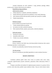 Verslo planas: grožio salonas UAB "Kleopatra" 19 puslapis