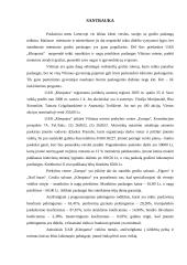 Verslo planas: grožio salonas UAB "Kleopatra" 3 puslapis