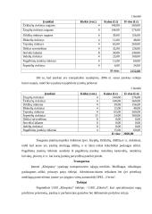 Verslo planas: grožio salonas UAB "Kleopatra" 8 puslapis