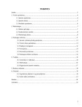 Verslo planas: jūrinių suvenyrų prekyba "Jūriniai suvenyrai" 2 puslapis