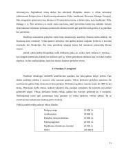 Verslo planas: jūrinių suvenyrų prekyba "Jūriniai suvenyrai" 12 puslapis