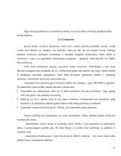 Verslo planas: jūrinių suvenyrų prekyba "Jūriniai suvenyrai" 13 puslapis