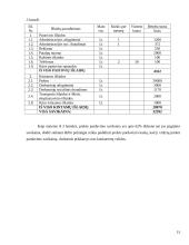 Verslo planas: jūrinių suvenyrų prekyba "Jūriniai suvenyrai" 15 puslapis