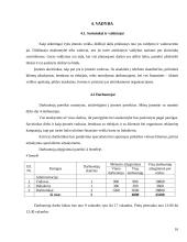 Verslo planas: jūrinių suvenyrų prekyba "Jūriniai suvenyrai" 16 puslapis