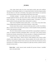 Verslo planas: jūrinių suvenyrų prekyba "Jūriniai suvenyrai" 3 puslapis