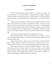 Verslo planas: jūrinių suvenyrų prekyba "Jūriniai suvenyrai" 4 puslapis