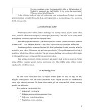 Verslo planas: jūrinių suvenyrų prekyba "Jūriniai suvenyrai" 8 puslapis