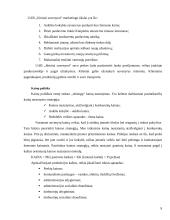 Verslo planas: jūrinių suvenyrų prekyba "Jūriniai suvenyrai" 9 puslapis