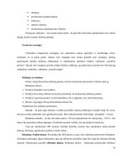 Verslo planas: jūrinių suvenyrų prekyba "Jūriniai suvenyrai" 10 puslapis