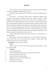 Verslo planas: kavinė - baras UAB "Svajonė" 3 puslapis