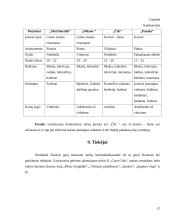 Verslo planas: kavinė vaikams UAB "Pasaka" 12 puslapis