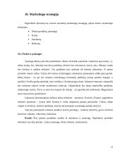 Verslo planas: kavinė vaikams UAB "Pasaka" 13 puslapis