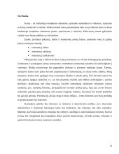 Verslo planas: kavinė vaikams UAB "Pasaka" 14 puslapis