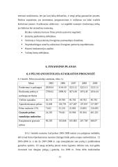 Verslo planas: krovinių pervežimas IĮ "Vydrauga" 11 puslapis